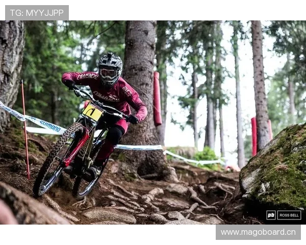 德泽尔比：乌多基肌肉受伤不重 盼库卢赶上世界杯